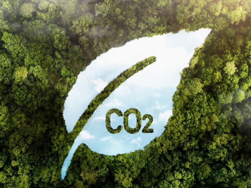ESA OAB SP lança curso inédito de Introdução e Conceitos do Mercado de Carbono