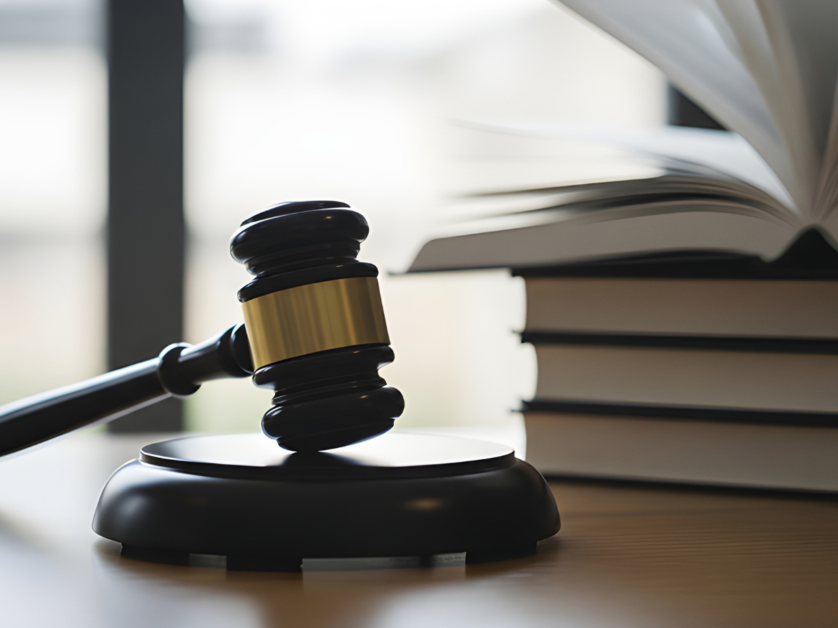 A instrução no Processo Ético-Disciplinar da OAB: Funções, limites e Relevância