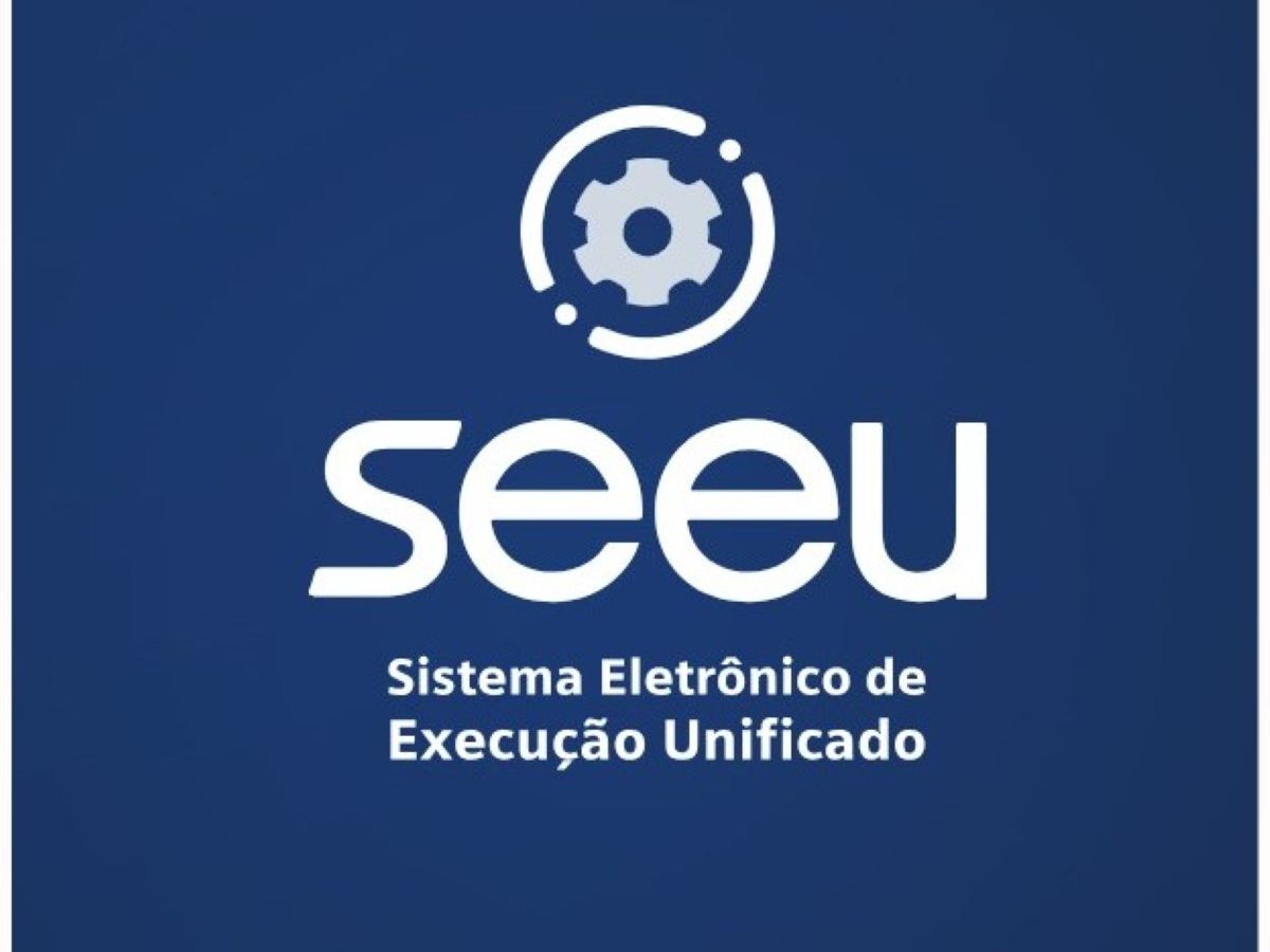 CNJ estabelece protocolo de acesso único do SEEU em território internacional