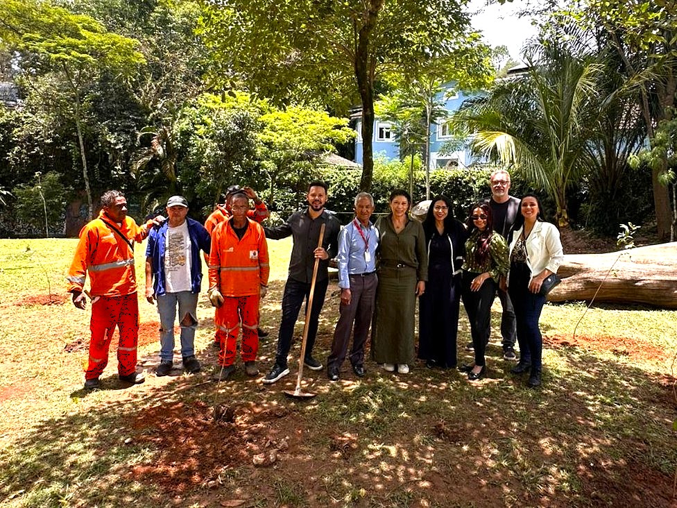 OAB SP conclui primeira etapa do Projeto Plantio em Santo Amaro