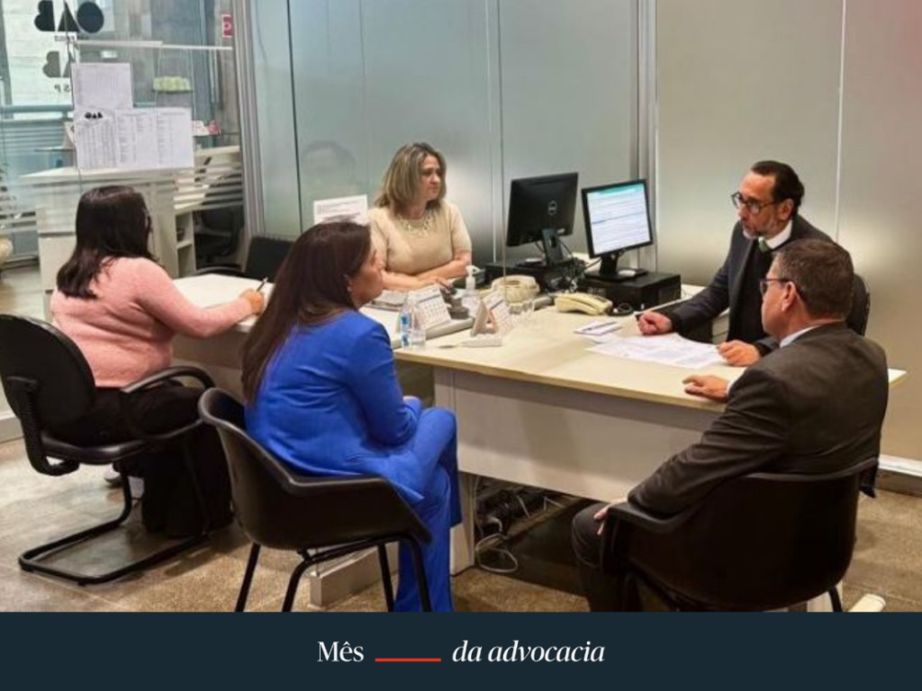 Advocacia e voluntariado: comissões da OAB SP reúnem mais de 36 mil profissionais