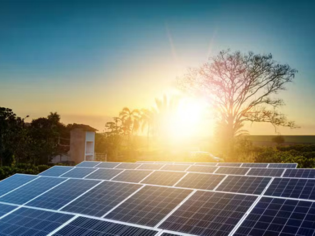 OAB SP inaugura usinas solares em Votuporanga e Ilha Solteira