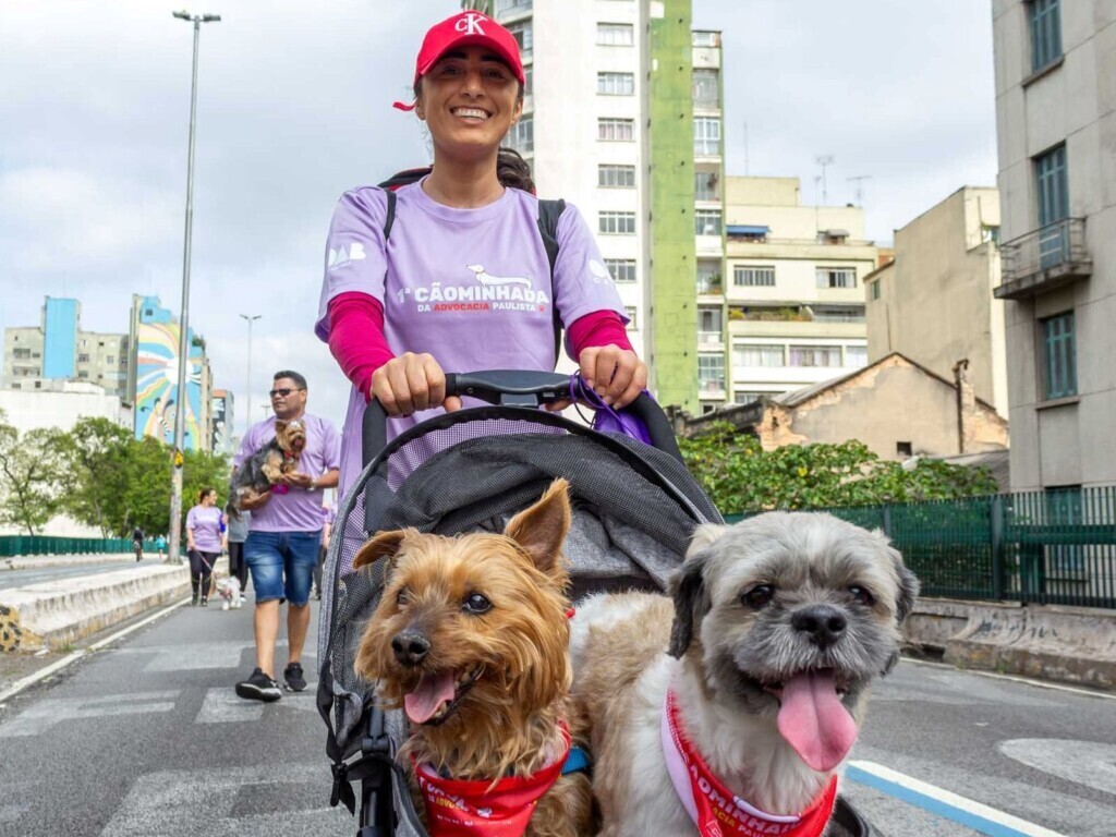 2ª Cãominhada da Advocacia acontece em 26 de outubro; inscreva-se